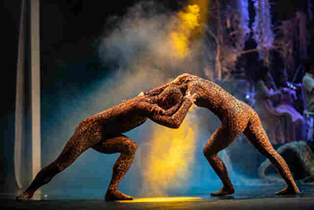 Cia. de Dan&ccedil;a do Pantanal celebra 9 anos com apresenta&ccedil;&atilde;o de &ldquo;Guadakan&rdquo; e &ldquo;Carne Quebrada&rdquo; no evento Femina Vox, da UNESCO