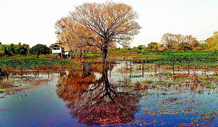 Outono começa com previsão de chuvas abaixo da média e altas temperaturas
