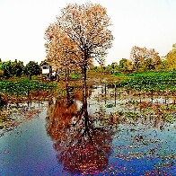 Outono come&ccedil;a com previs&atilde;o de chuvas abaixo da m&eacute;dia e altas temperaturas