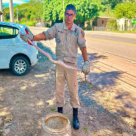Corpo de Bombeiros captura cobra nas proximidades do anel vi&aacute;rio de Corumb&aacute;