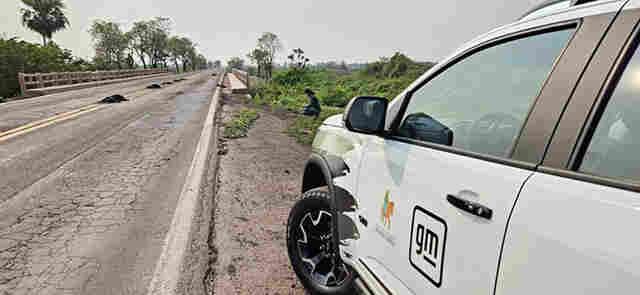 COP15 ter&aacute; lan&ccedil;amento de plataforma in&eacute;dita para mitigar atropelamentos de animais em rodovias