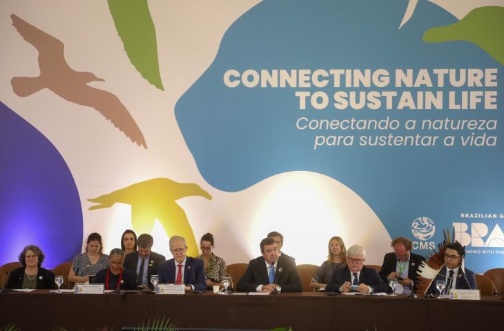 Com atua&ccedil;&atilde;o para o desenvolvimento e conserva&ccedil;&atilde;o ambiental, MS sedia encontro de l&iacute;deres globais que antecede COP15