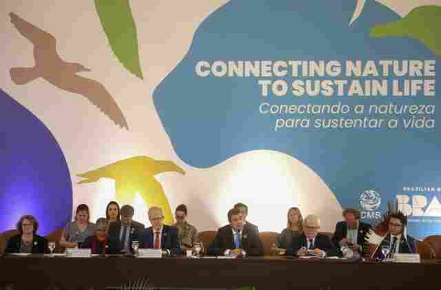 Com atua&ccedil;&atilde;o para o desenvolvimento e conserva&ccedil;&atilde;o ambiental, MS sedia encontro de l&iacute;deres globais que antecede COP15
