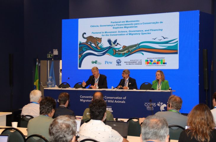 Dia do Pantanal: financiamento de pol&iacute;ticas ambientais &eacute; tema em debate no segundo dia da COP15
