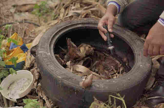 SES realiza for&ccedil;a-tarefa com Defesa Civil para conter avan&ccedil;o da chikungunya em Dourados