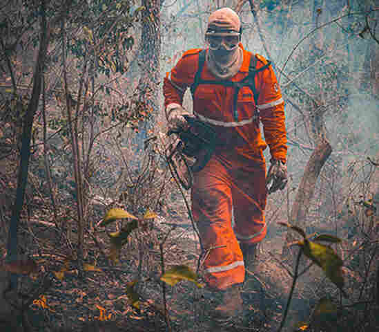 Coopera&ccedil;&atilde;o entre Brasil e Bol&iacute;via pode contribuir para prevenir inc&ecirc;ndios no Pantanal
