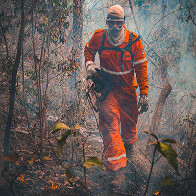 Coopera&ccedil;&atilde;o entre Brasil e Bol&iacute;via pode contribuir para prevenir inc&ecirc;ndios no Pantanal