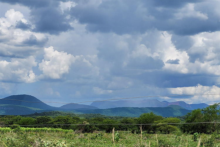 MS deve ter chuvas irregulares e calor acima da média no próximo trimestre; chance de El Niño chega a 61%