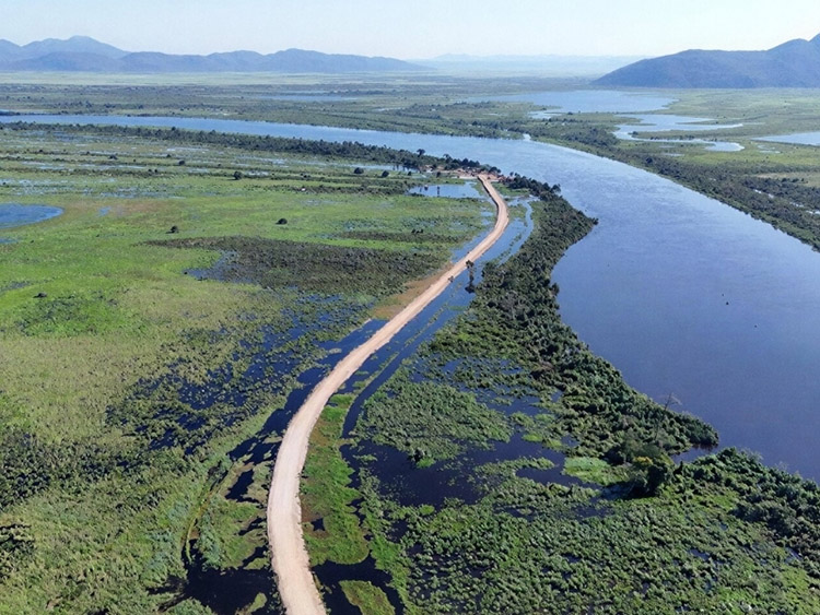 MPMS investiga impacto ambiental e falhas no licenciamento de obra em estrada no Pantanal 