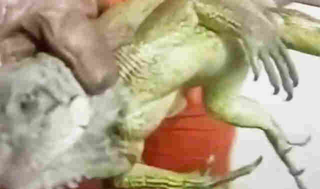 Bombeiros s&atilde;o acionados para capturar iguana de grande porte dentro do Muhpan