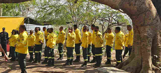 Ibama inicia contrata&ccedil;&atilde;o de brigadas federais para refor&ccedil;ar combate a inc&ecirc;ndios florestais em todo o pa&iacute;s