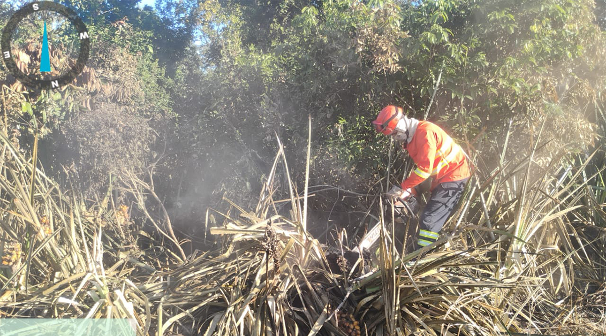 Bombeiros combatem inc&ecirc;ndio florestal na regi&atilde;o da Curva do Leque no Pantanal do Nabileque em Corumb&aacute;