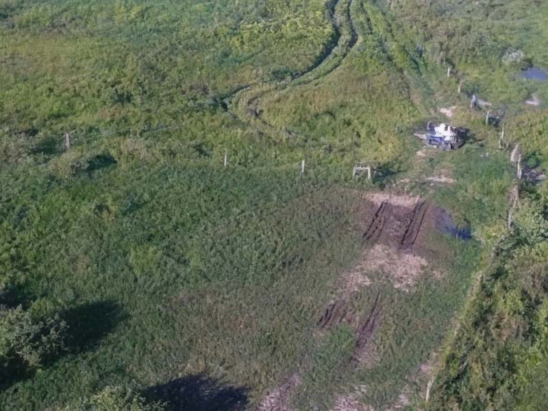 MPMS investiga desmatamento em área do Pantanal e reforça atuação na defesa do patrimônio ambiental