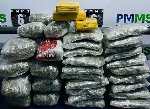 Quatro passageiros são detidos pela PM por tráfico de drogas em ônibus no Posto Lampião Acesso em Corumbá