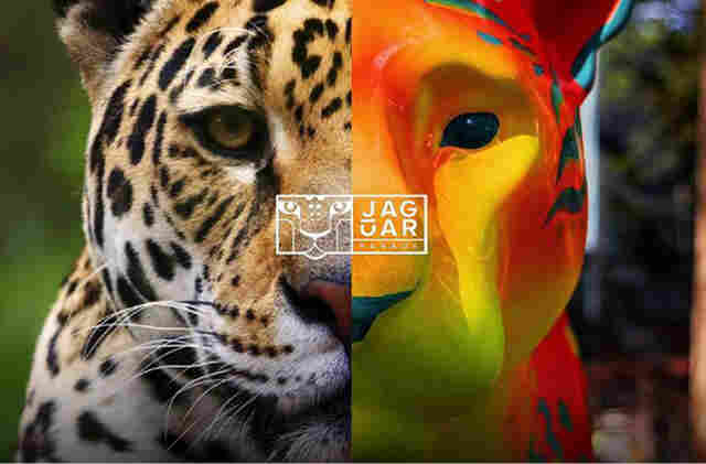 Mato Grosso do Sul e Jaguar Parade unem arte, conserva&ccedil;&atilde;o e turismo regenerativo