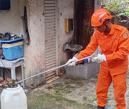 Bombeiros capturam sucuri dentro de cozinha em residência de Ladário