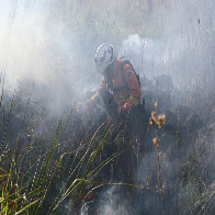 Decreto de emerg&ecirc;ncia ambiental refor&ccedil;a prepara&ccedil;&atilde;o do Governo de MS para enfrentamento a inc&ecirc;ndios florestais
