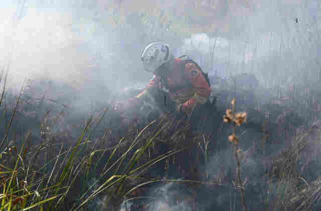 Decreto de emerg&ecirc;ncia ambiental refor&ccedil;a prepara&ccedil;&atilde;o do Governo de MS para enfrentamento a inc&ecirc;ndios florestais