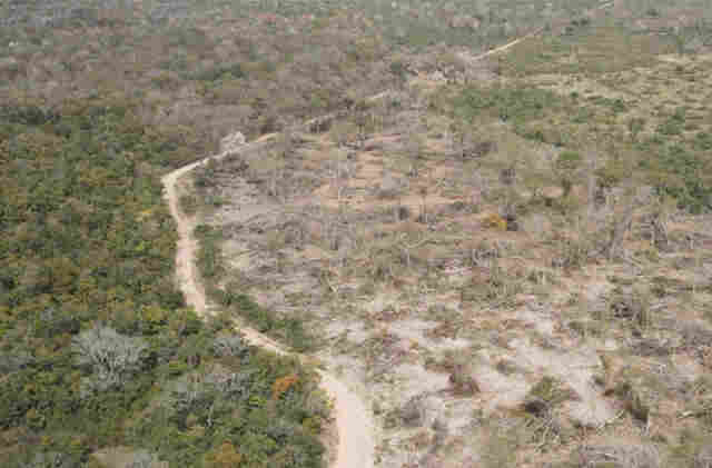 BNDES chega &agrave; marca de R$ 20,8 milh&otilde;es de cr&eacute;dito evitado a propriet&aacute;rios de terras de Mato Grosso do Sul com ind&iacute;cios de desmatamento ilegal