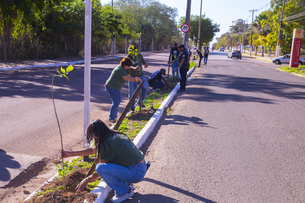 Corumb&aacute; aposta na arboriza&ccedil;&atilde;o para enfrentar efeitos das mudan&ccedil;as clim&aacute;ticas