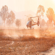 Ibama inicia opera&ccedil;&atilde;o no Pantanal para prevenir ocorr&ecirc;ncia de inc&ecirc;ndios florestais