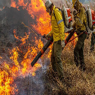 Governo repassa R$ 337 milh&otilde;es para combate a inc&ecirc;ndios e desmatamento 