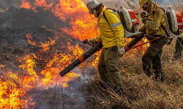 Governo repassa R$ 337 milh&otilde;es para combate a inc&ecirc;ndios e desmatamento 
