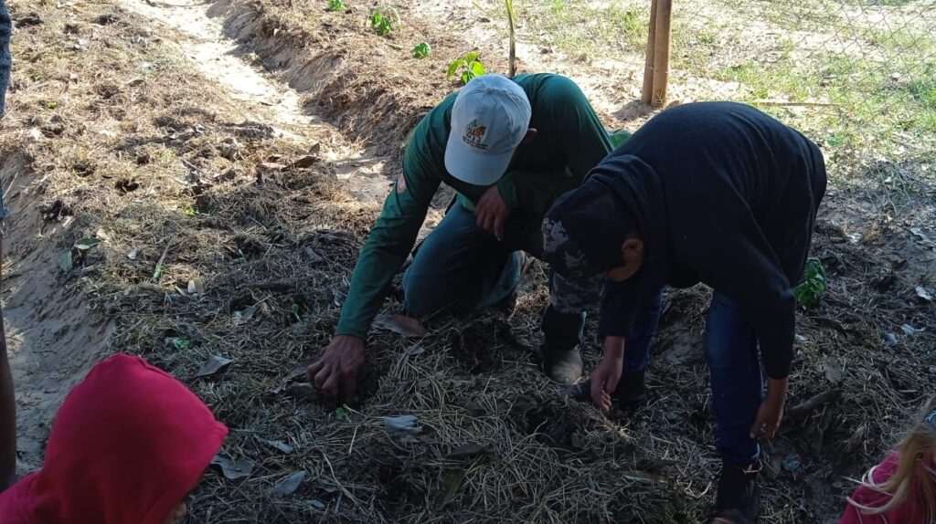 Sistemas agroflorestais em escolas no Pantanal envolvem plantio de mais de 2 mil mudas