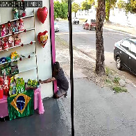 V&Iacute;DEO: Homem furta loja e utiliza port&atilde;o lateral do Cemit&eacute;rio Santa Cruz como rota de fuga