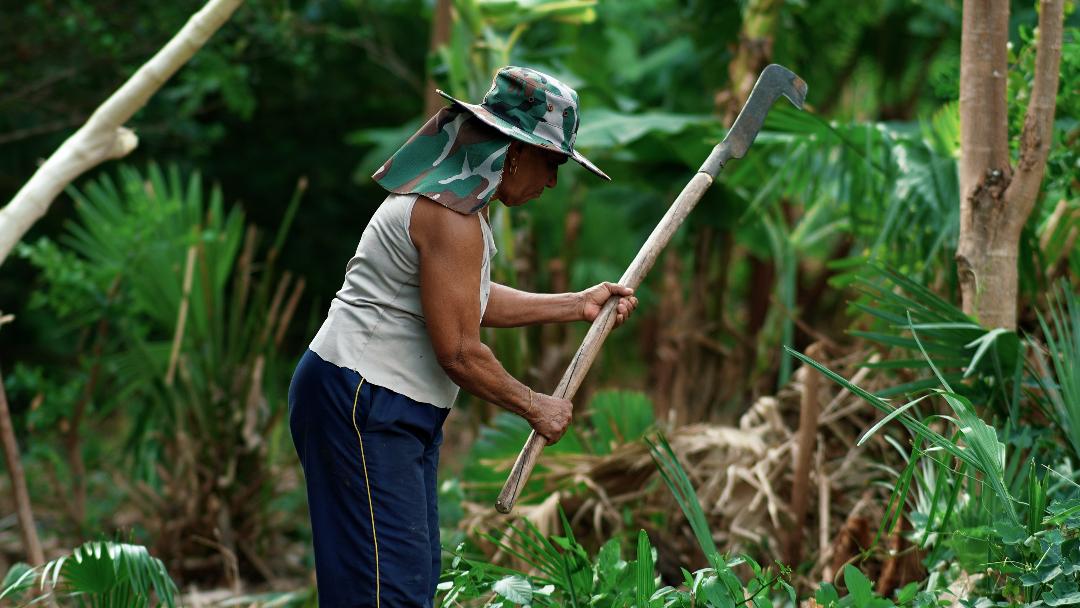 Afroturismo ganha novo capítulo em MS com lançamento de ações estaduais e exibição de “Pantanal Negro”