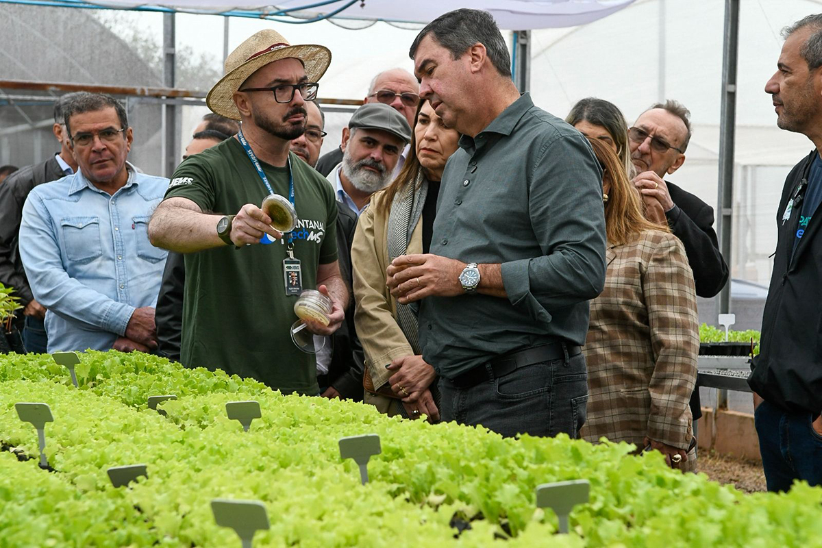 Com preserva&ccedil;&atilde;o e valoriza&ccedil;&atilde;o econ&ocirc;mica, Pantanal TechMS valoriza bioma e fortalece comunidades