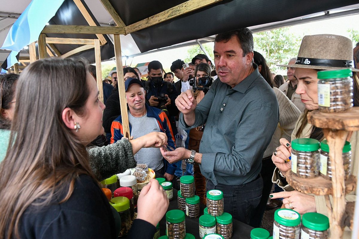 Com preserva&ccedil;&atilde;o e valoriza&ccedil;&atilde;o econ&ocirc;mica, Pantanal TechMS valoriza bioma e fortalece comunidades