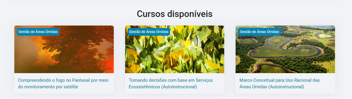 Cursos gratuitos sobre o Pantanal ensinam conservação ambiental e monitoramento do fogo