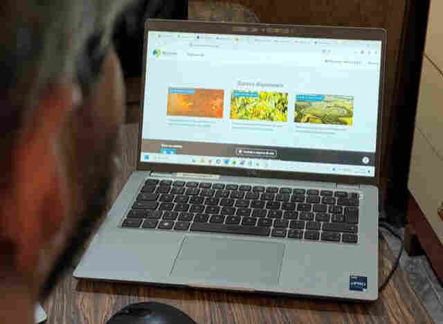 Cursos gratuitos sobre o Pantanal ensinam conserva&ccedil;&atilde;o ambiental e monitoramento do fogo