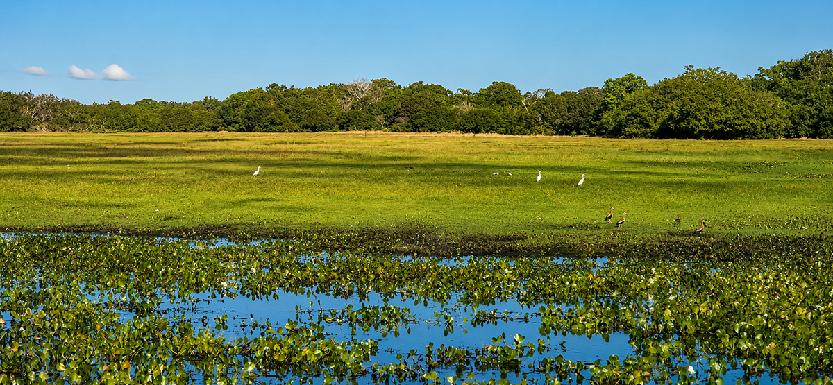 Comitiva que cruzou o Pantanal para ouvir quem produz e preserva para captar suas demandas genu&iacute;nas