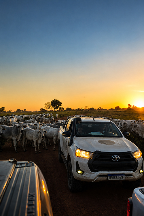 Comitiva que cruzou o Pantanal para ouvir quem produz e preserva para captar suas demandas genu&iacute;nas