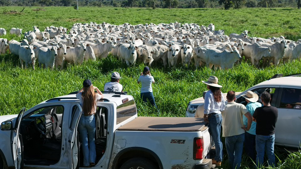Comitiva que cruzou o Pantanal para ouvir quem produz e preserva para captar suas demandas genu&iacute;nas
