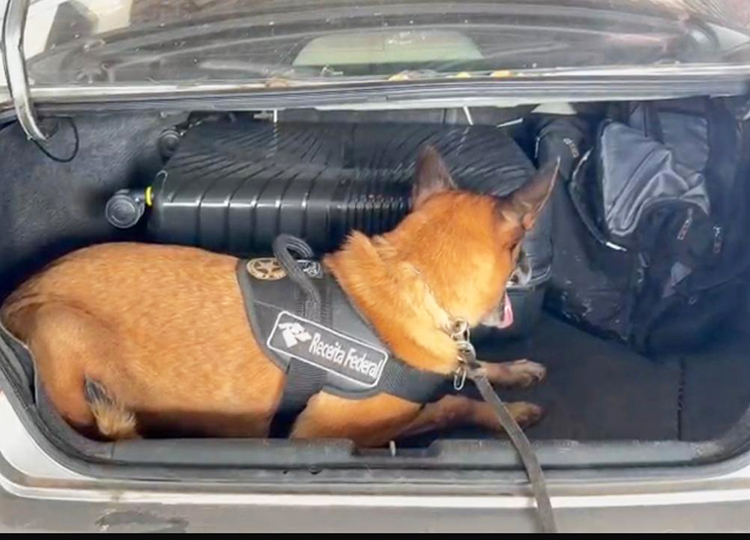 Indivíduos abandonam carro com 13 Kg de Skunk durante fiscalização no Posto Esdras com 13 Kg de Skunk