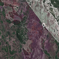 MPMS firma TAC para recupera&ccedil;&atilde;o de &aacute;rea degradada e compensa&ccedil;&atilde;o ambiental em Corumb&aacute;
