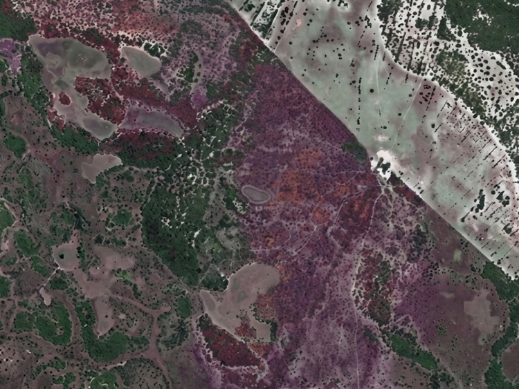 MPMS firma TAC para recupera&ccedil;&atilde;o de &aacute;rea degradada e compensa&ccedil;&atilde;o ambiental em Corumb&aacute;