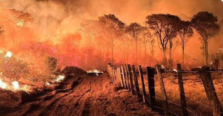 Queima controlada fica suspensa em Mato Grosso do Sul a partir de 1&ordm; de agosto