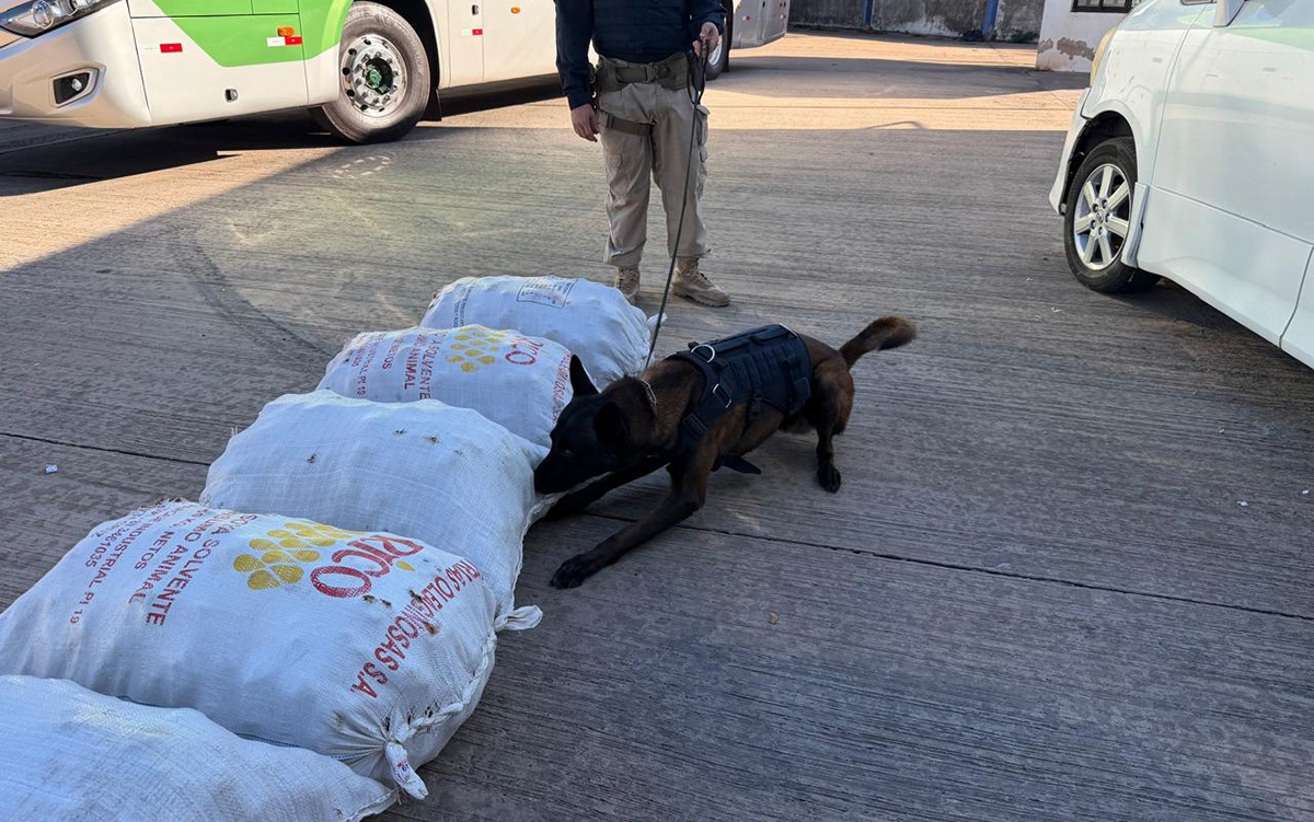 Operação interagências resulta em apreensão de drogas e cerca de 3 toneladas de mercadorias irregulares em Corumbá
