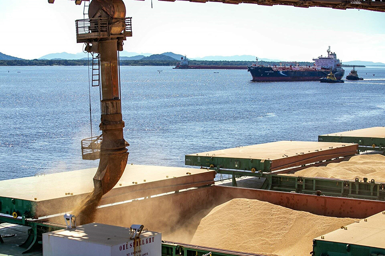 Exportações de Mato Grosso do Sul chegam a US$ 7,2 bilhões até julho