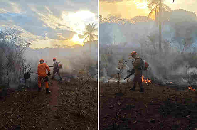 Corpo de Bombeiros registra tr&ecirc;s inc&ecirc;ndios em vegeta&ccedil;&atilde;o nas &uacute;ltimas 24 horas em Corumb&aacute;