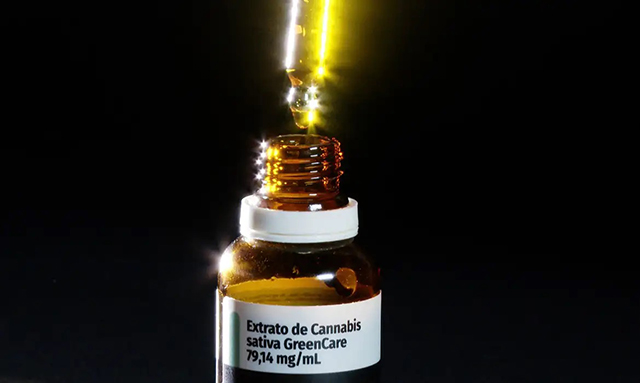 Autorizações para importação de cannabis aumentam 29% em 2026