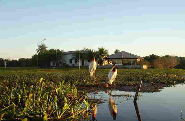 Bacia do rio Paraguai apresenta n&iacute;veis abaixo da m&eacute;dia hist&oacute;rica