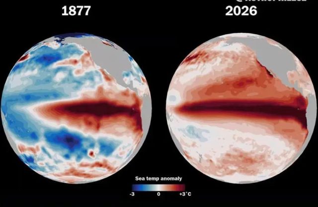 EL NI&Ntilde;O: ASSOMBRA&Ccedil;&Otilde;ES E TERROR NA VIDA REAL