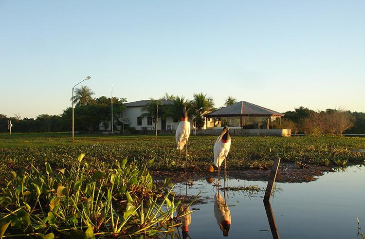 Bacia do rio Paraguai apresenta níveis abaixo da média histórica