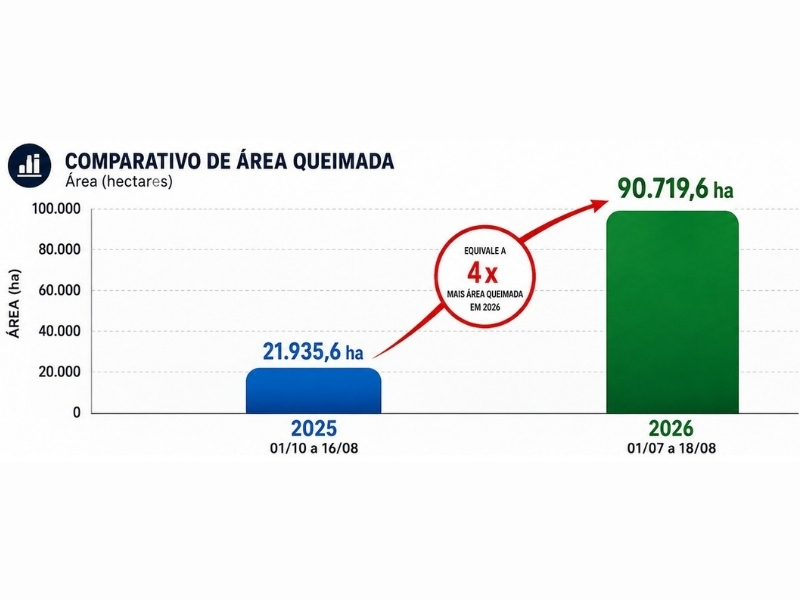 Pantanal em Alerta amplia ações diante do avanço das queimadas no bioma