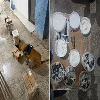Receita Federal e Pol&iacute;cia Federal apreendem entorpecentes em centro de distribui&ccedil;&atilde;o de remessas em Corumb&aacute;